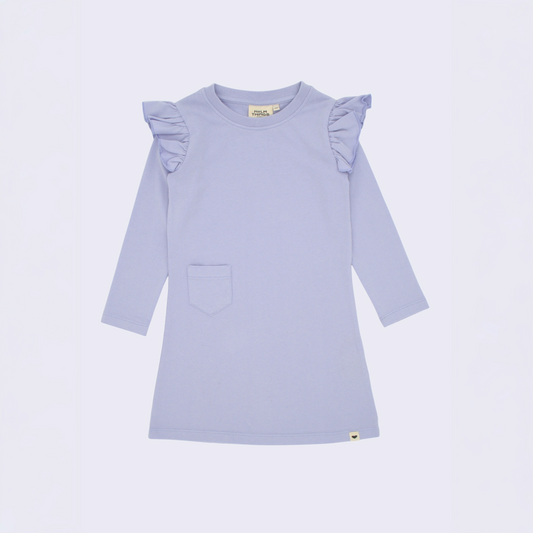 Shoulder Ruffle Long Sleeve Dress